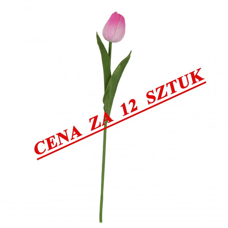Tulipan gumowany 32cm różowy <br>(12 sztuk)